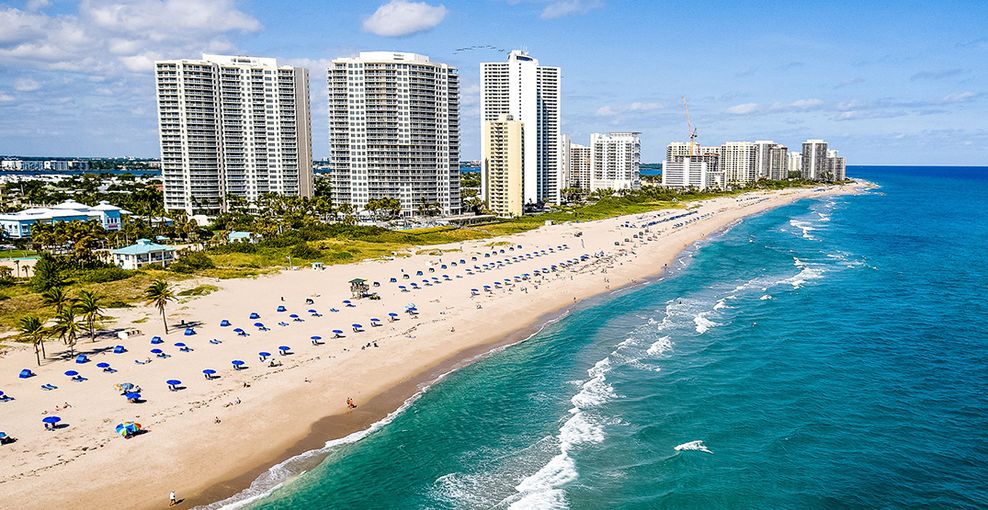 Discover The Palm Beaches