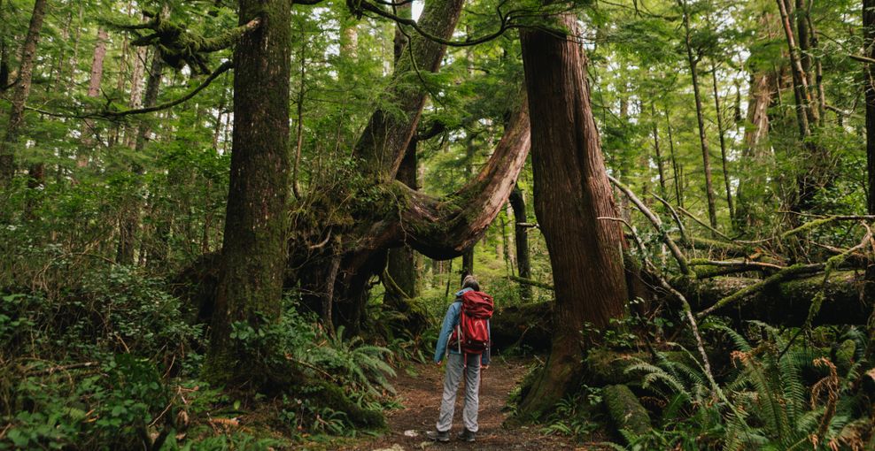 Jordyn Giesbrecht/Vancouver Island Tourism