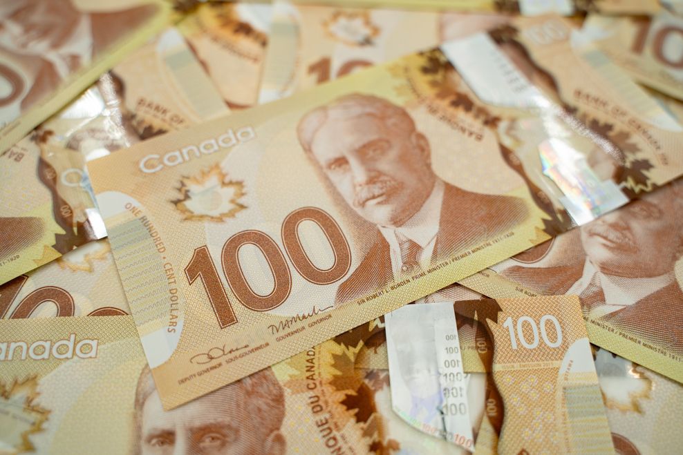 Erman Gunes/Shutterstock