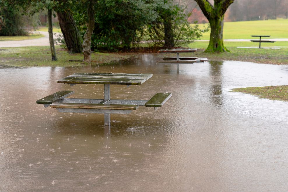 Max Lindenthaler/Shutterstock