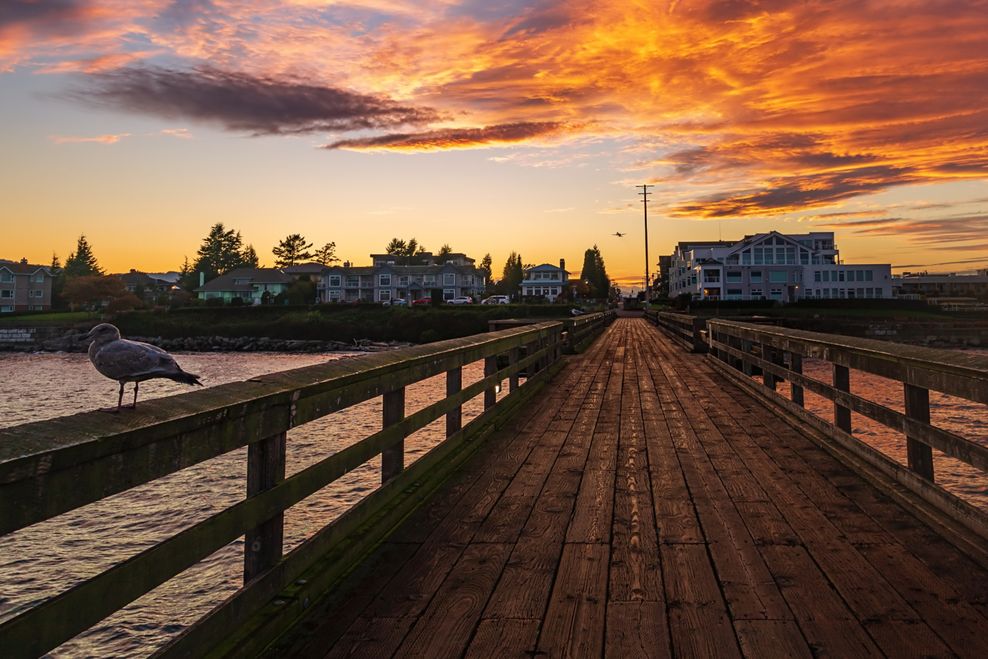 LisaBourgeault/Shutterstock