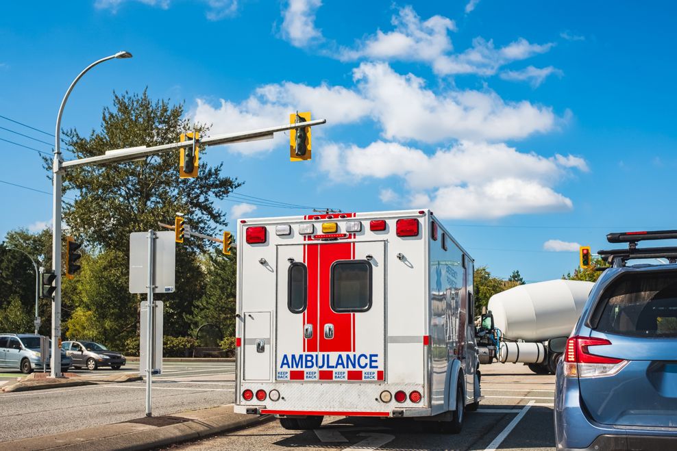 Elena_Alex_Ferns/Shutterstock