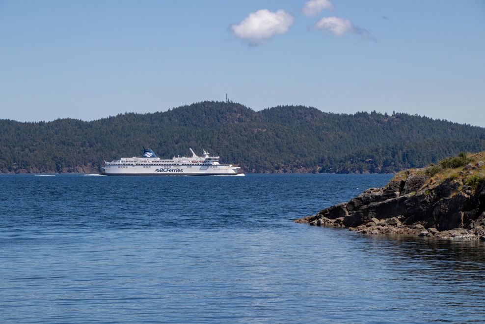 Lynda McFaul/Shutterstock