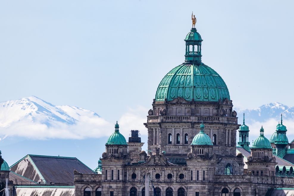 The Bold Bureau/Shutterstock