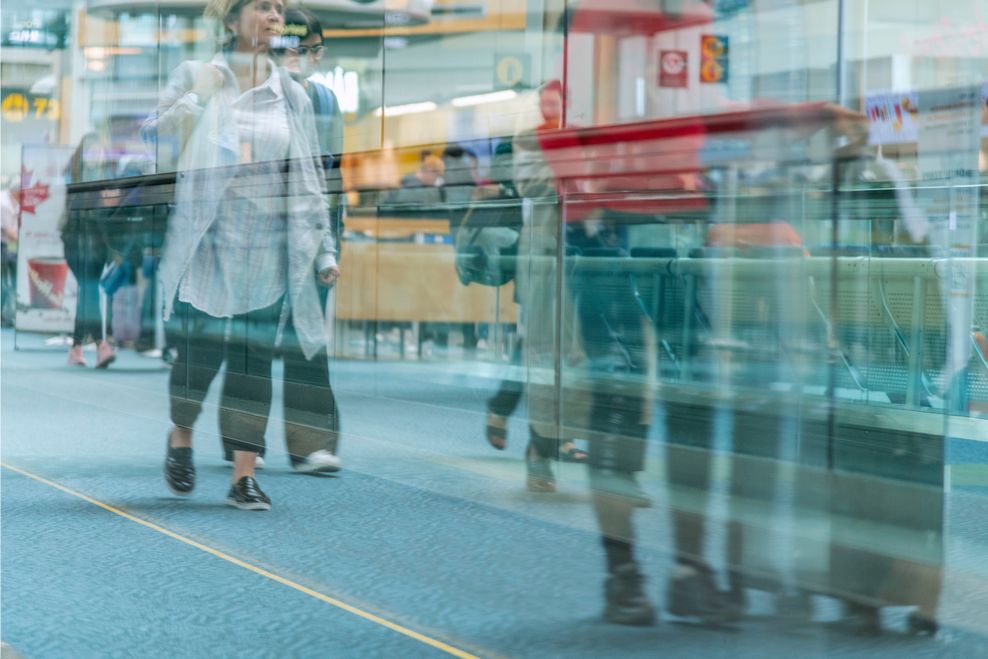 Gerry Matthews/Shutterstock