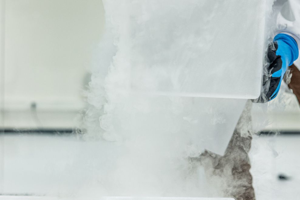 Eder Paisan/Shutterstock