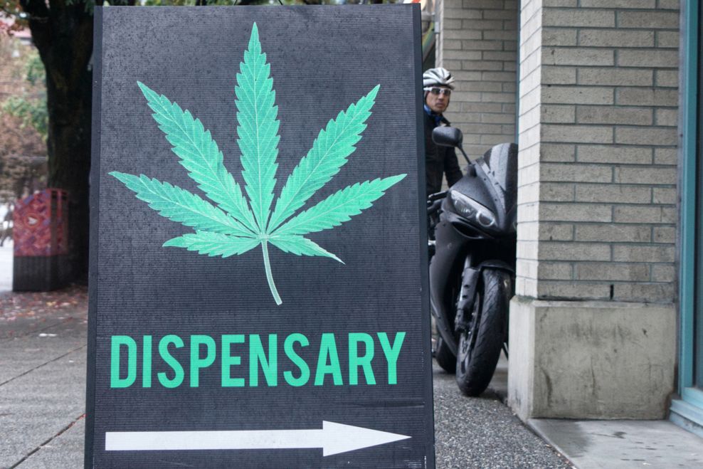 Margarita Young/Shutterstock