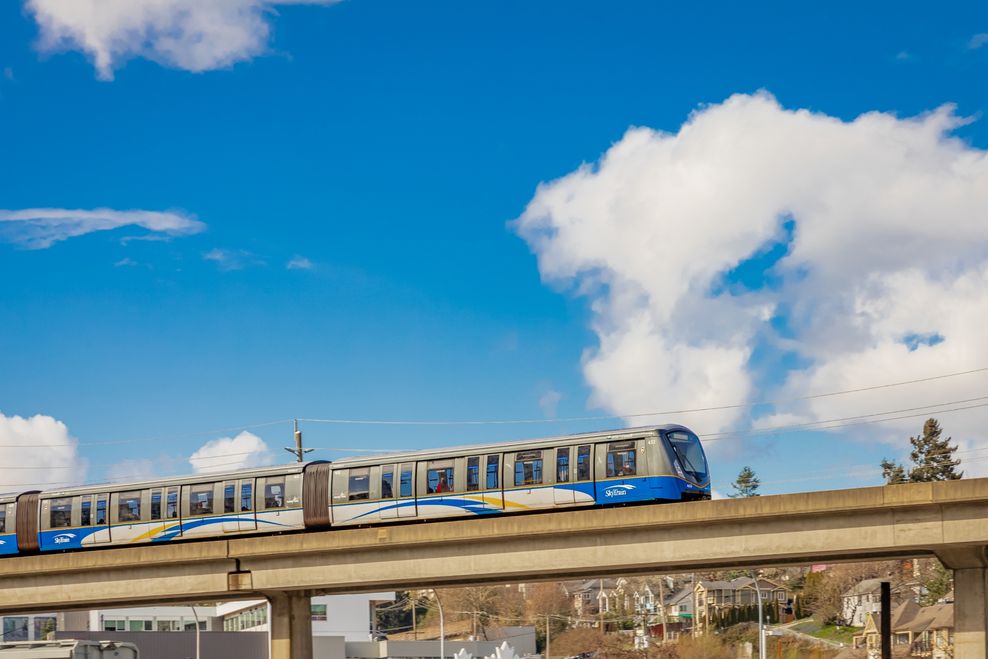 Elena_Alex_Ferns/Shutterstock