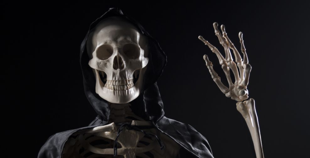 Videologia/Shutterstock