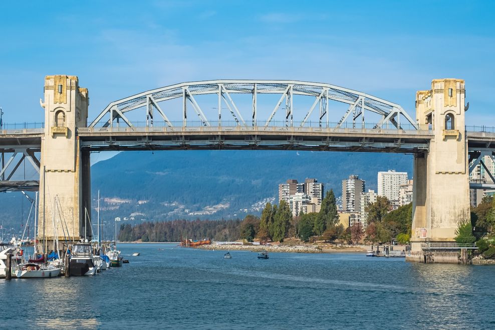 Elena_Alex_Ferns/Shutterstock