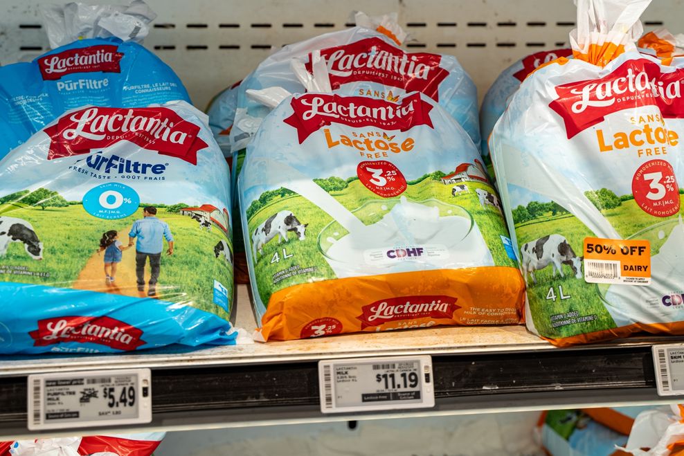 Erman Gunes/Shutterstock