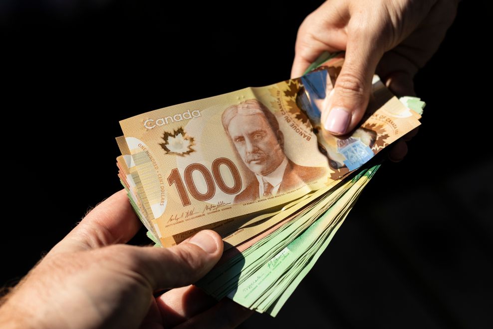 Stefan Malloch/Shutterstock