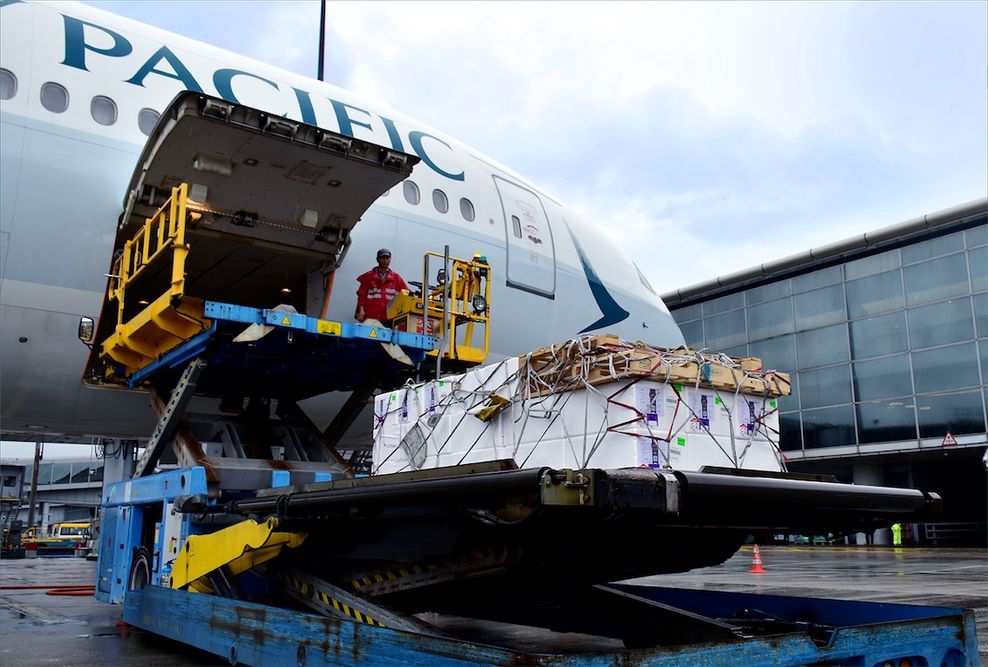 cathay pacific hong kong international airport hkg perishable seafood cargo 