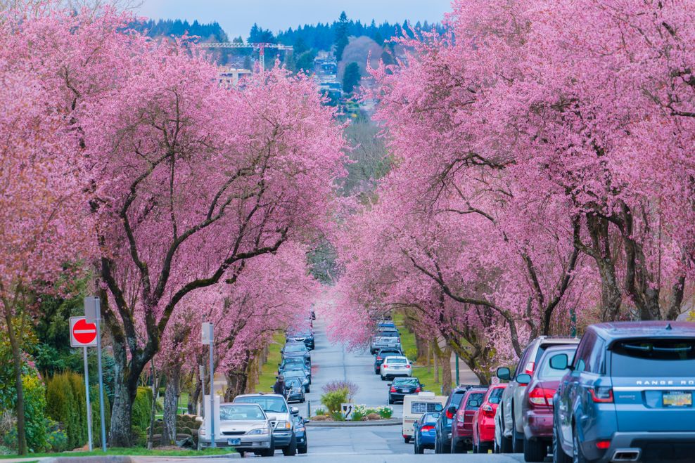 LeonWang/Shutterstock