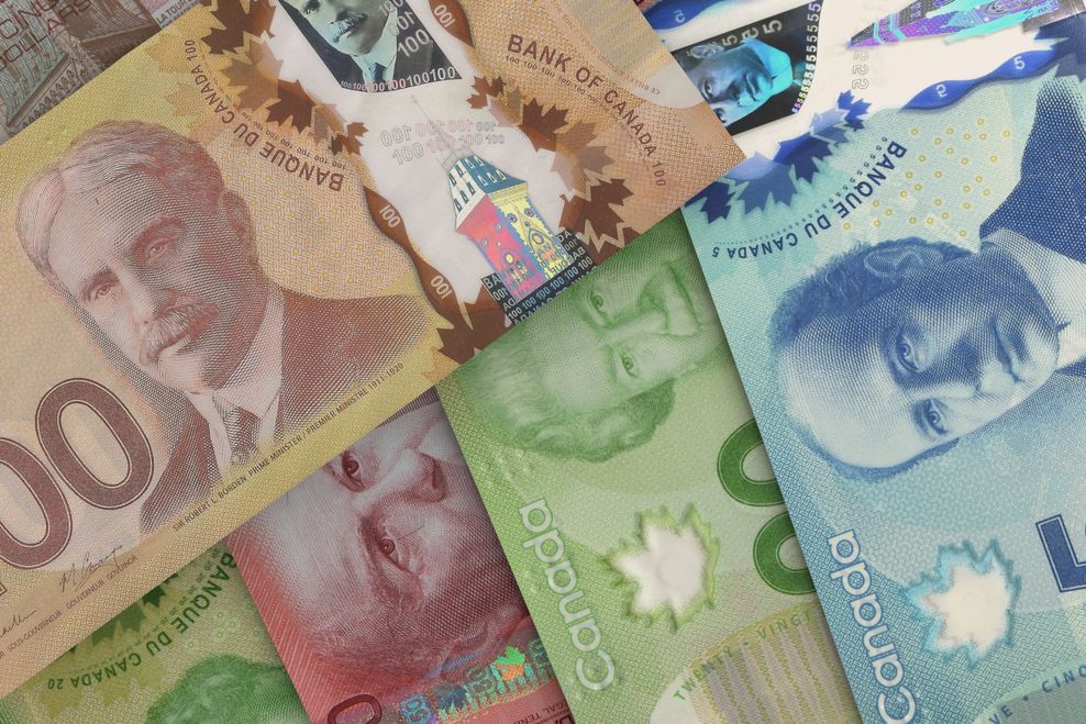 Alexey_Arz/Shutterstock