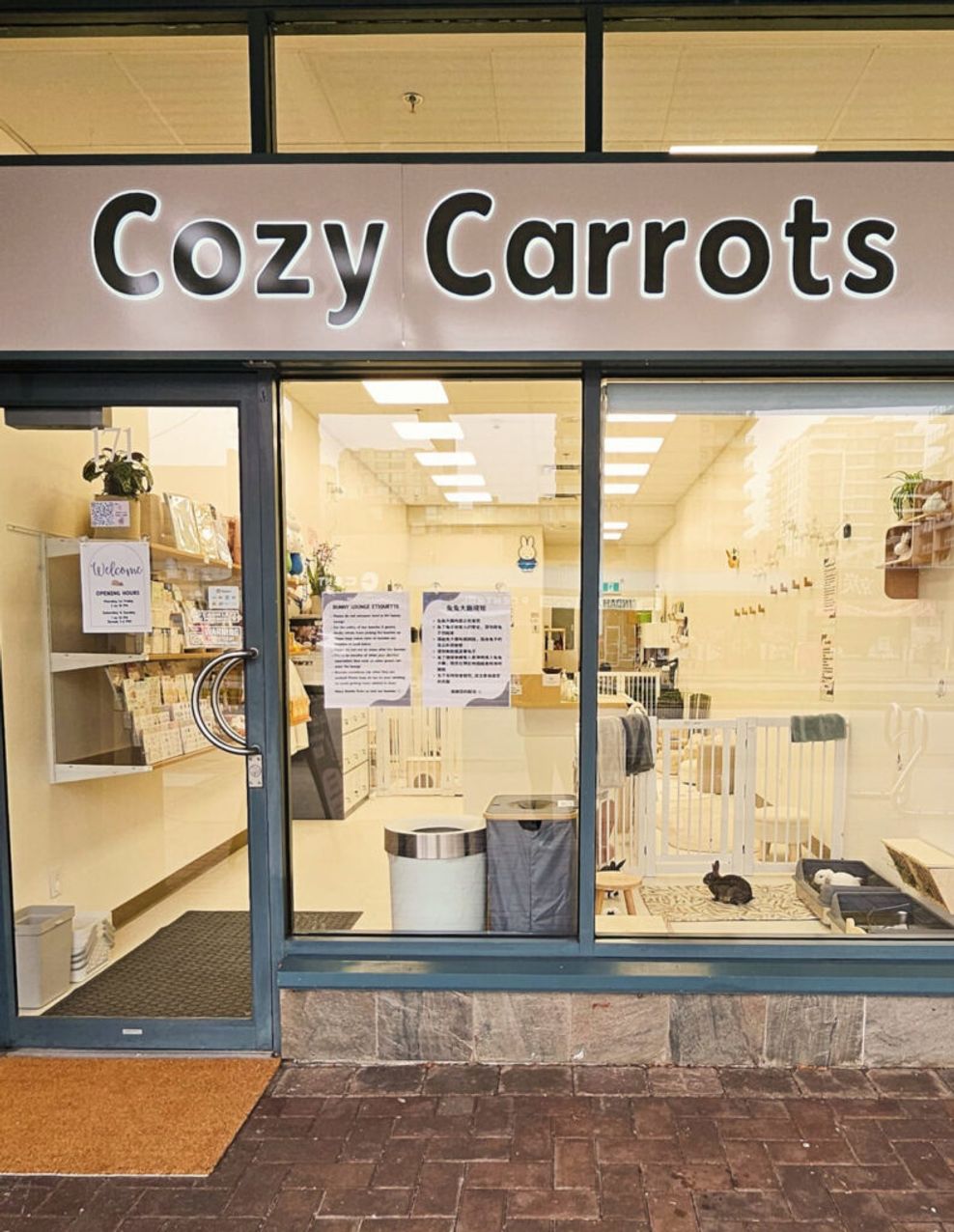 Cozy Carrots