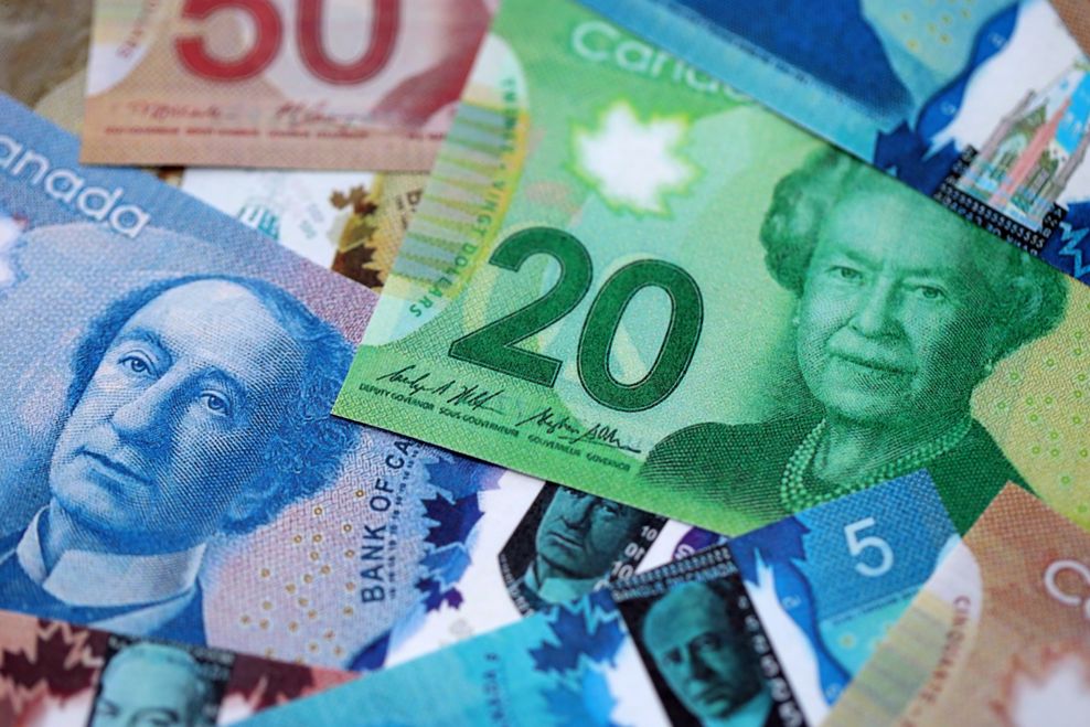 Mehaniq/Shutterstock