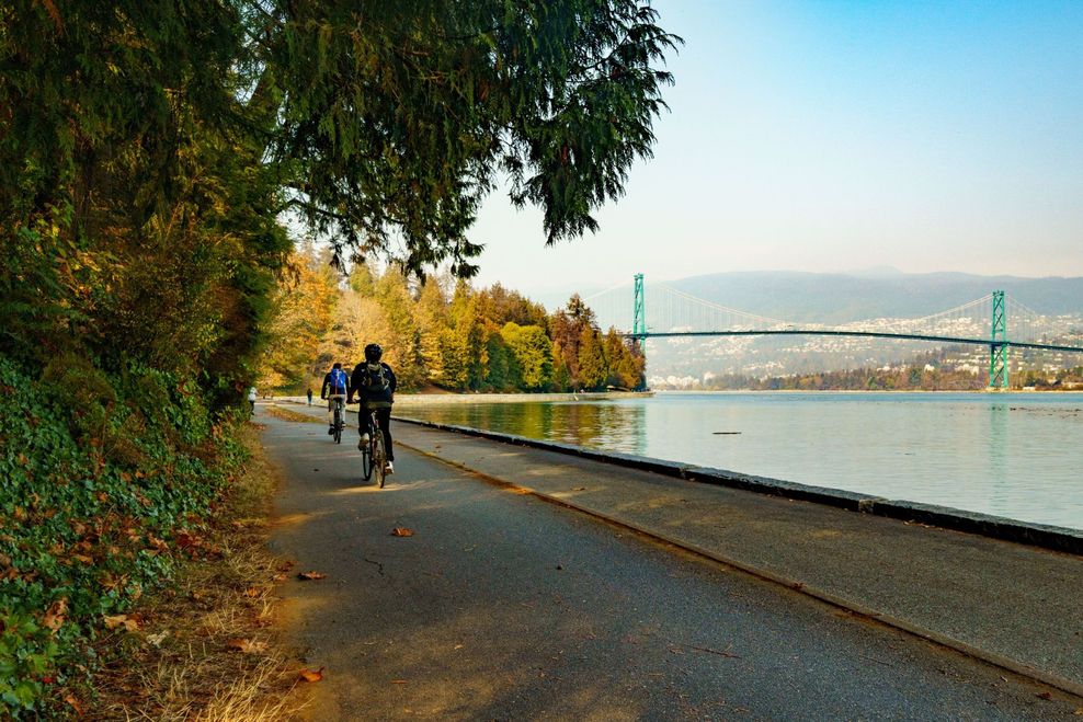 Wirestock Creators/Shutterstock