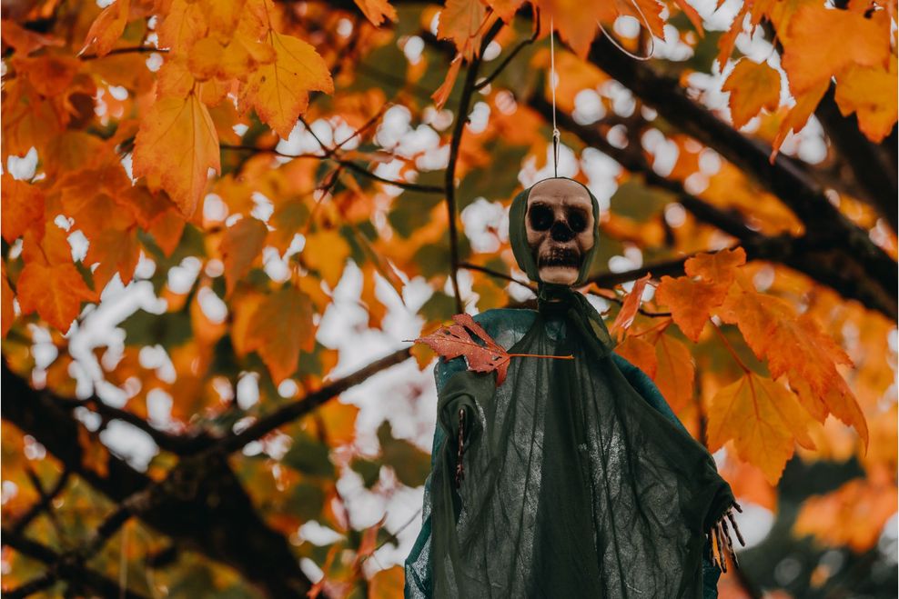 LeonWang/Shutterstock