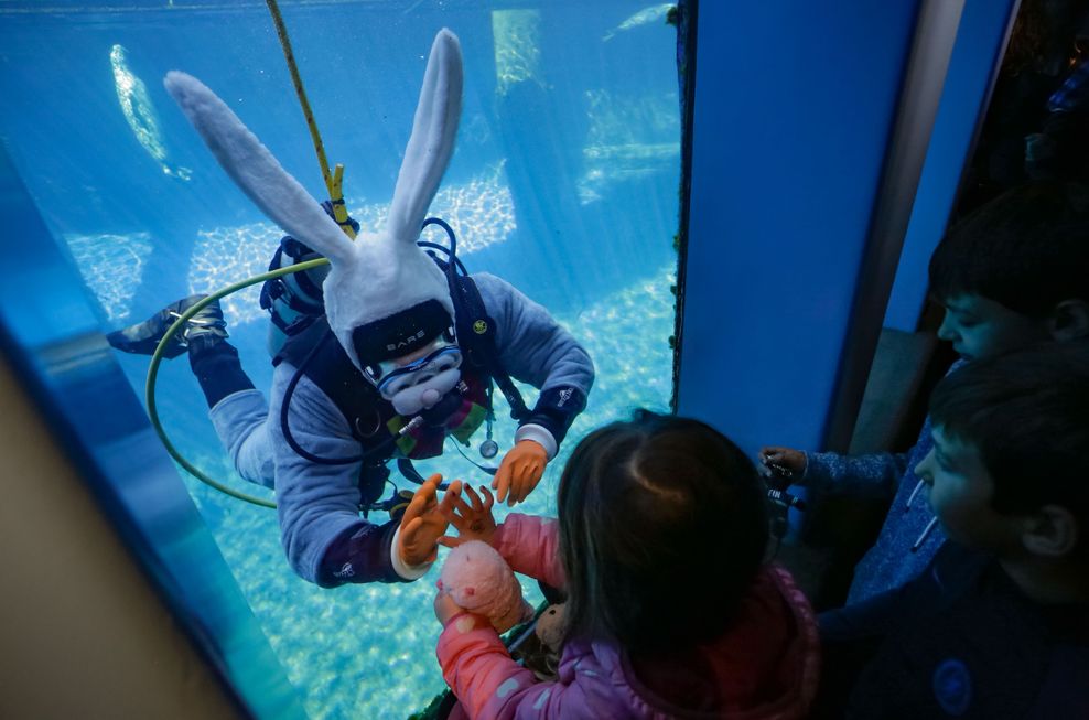 Harrison Ha/Shutterstock