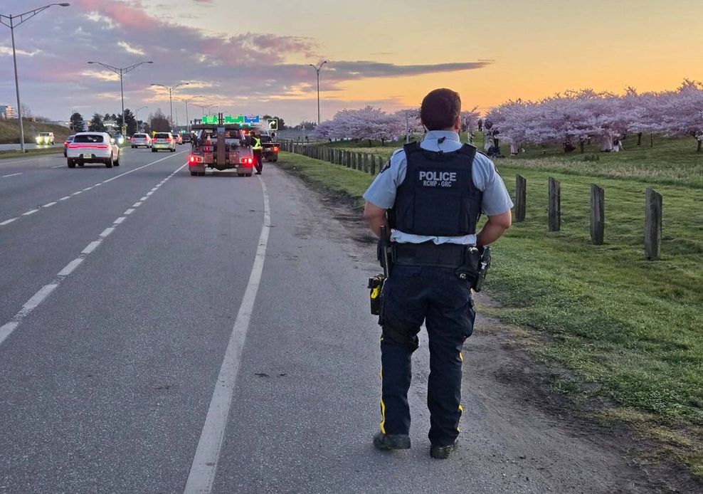 vancouver cherry blossoms