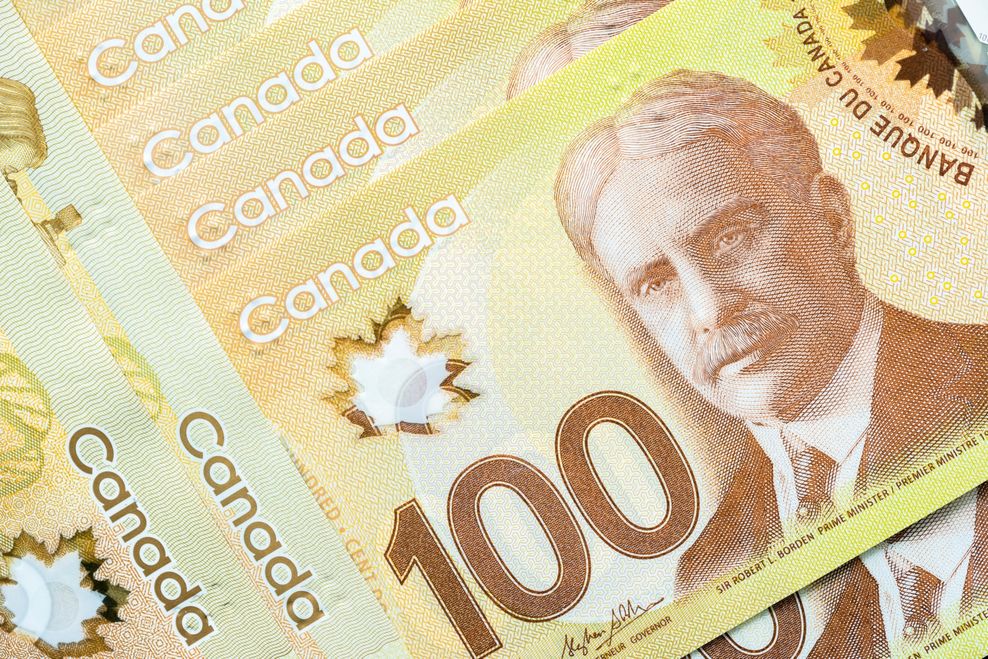 i viewfinder/Shutterstock