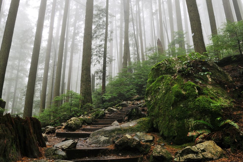 Mild Vancouver winter allows Grouse Grind Trail to officially reopen to hikers