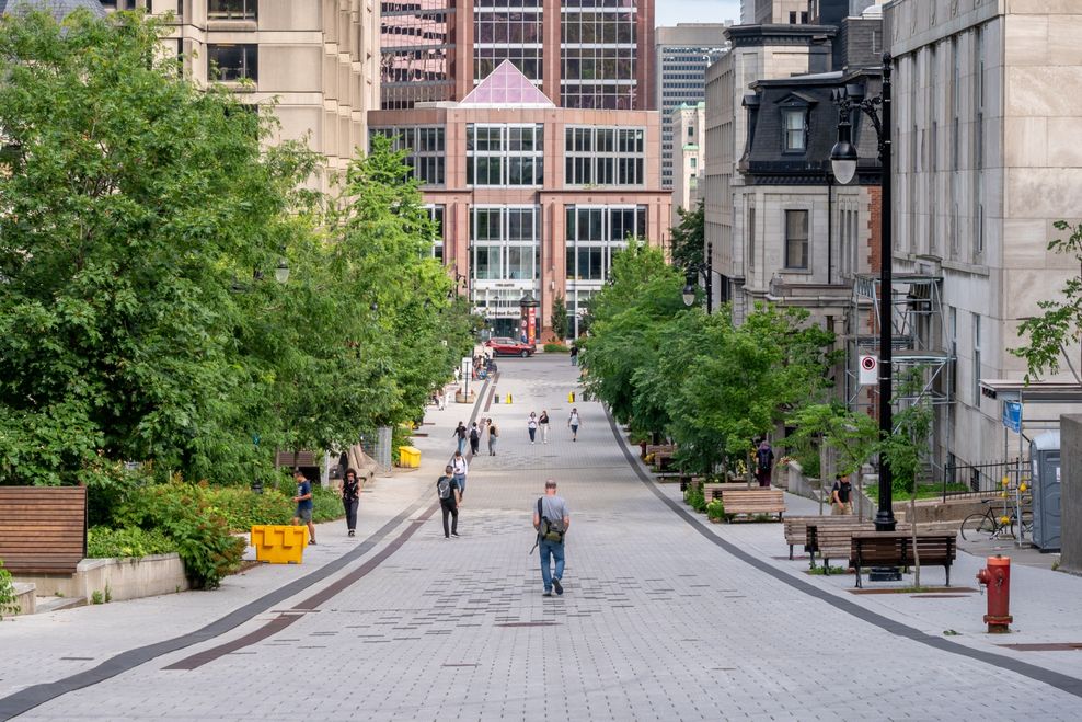 Jeff Whyte/Shutterstock