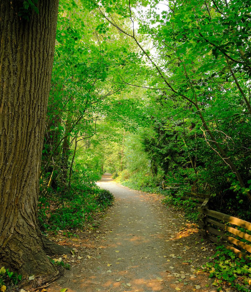 langara golf course vancouver