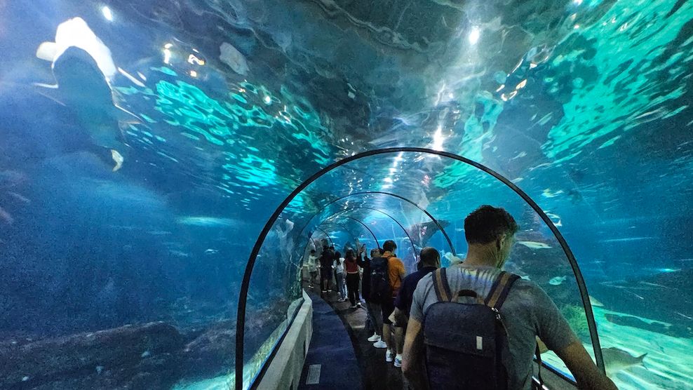 Aquarium Barcelona