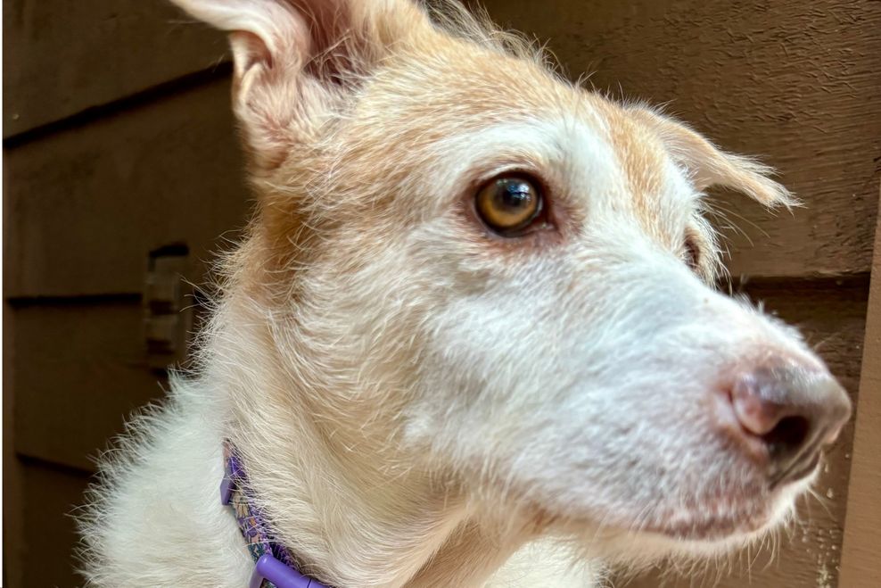 Port Moody Police Department