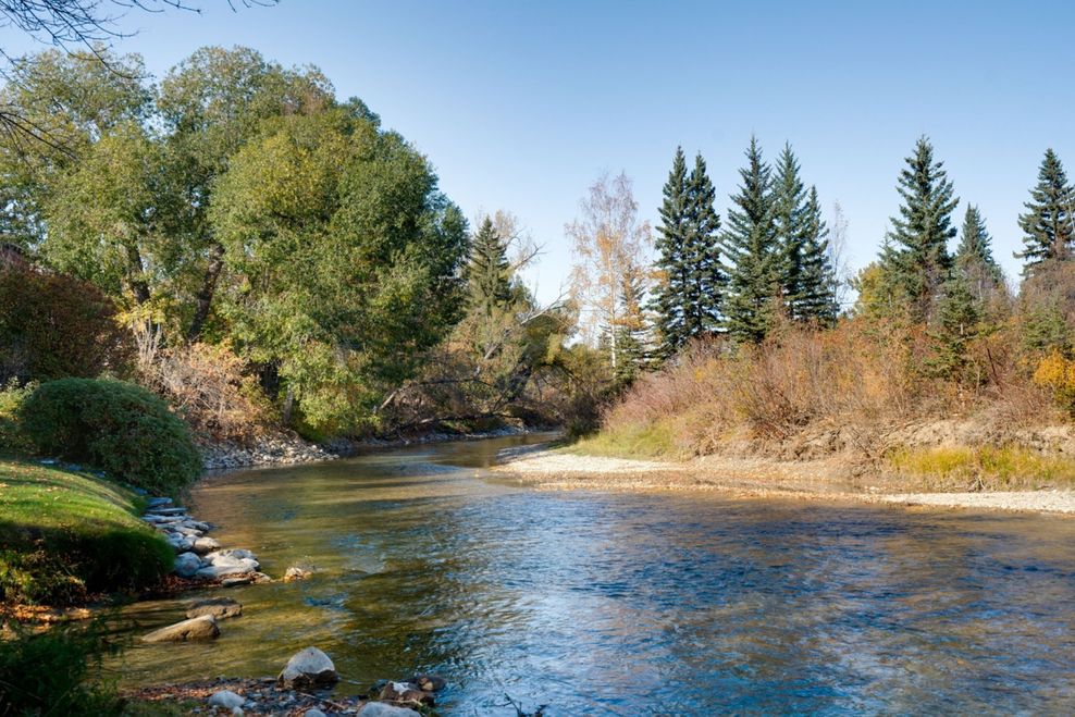 Ush Flynn Photography