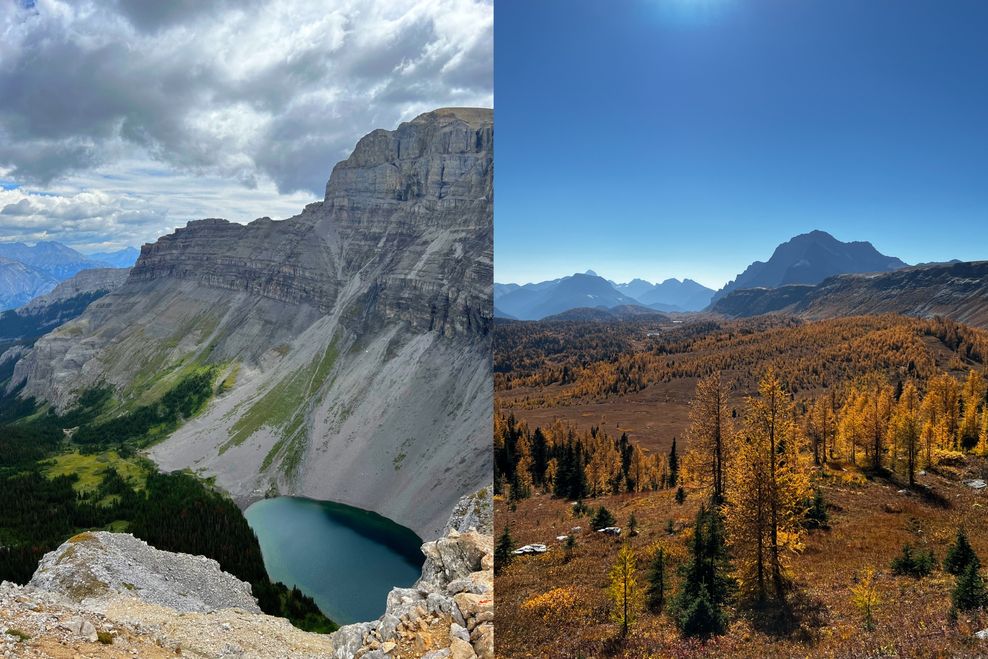 Laine Mitchell/Daily Hive 