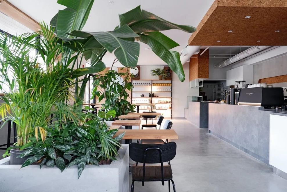 Interior of Nomad Coffee North Vancouver (Nomad Coffee)