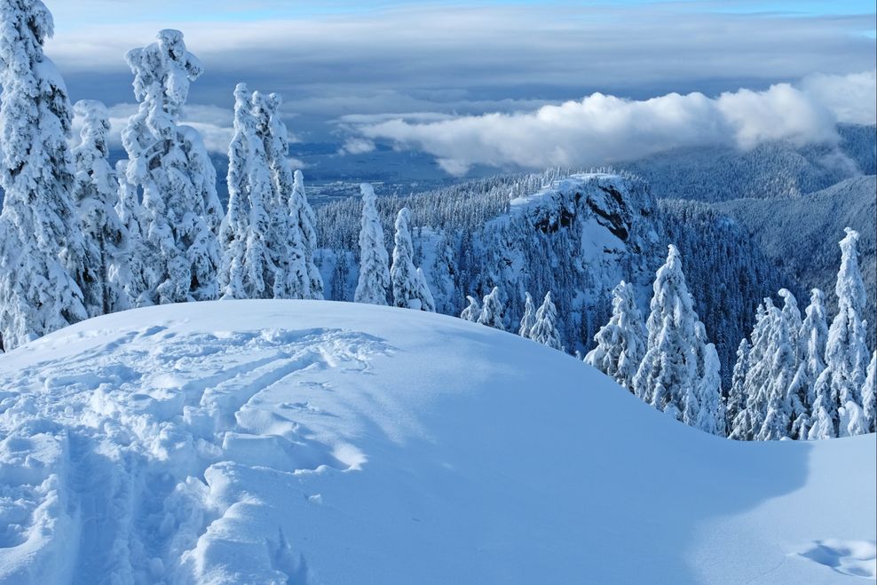 Beata Urmos/Shutterstock