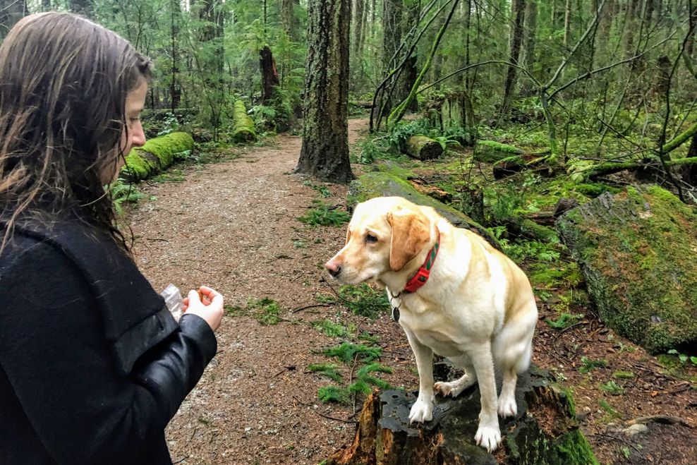 Christopher Babcock/Shutterstock