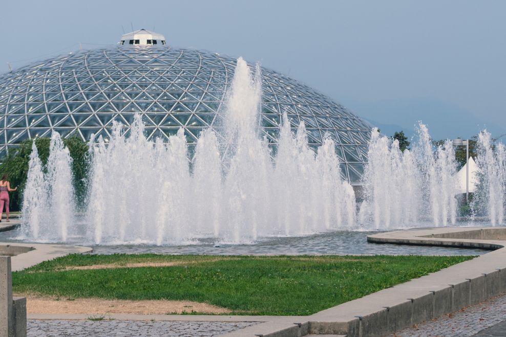 AlbertArt/Shutterstock