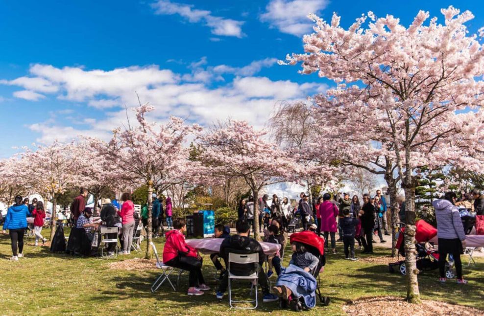 Richmond Cherry Blossom Festival