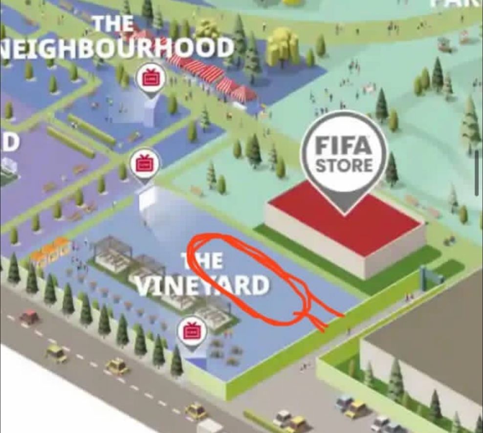 vancouver skateboarders