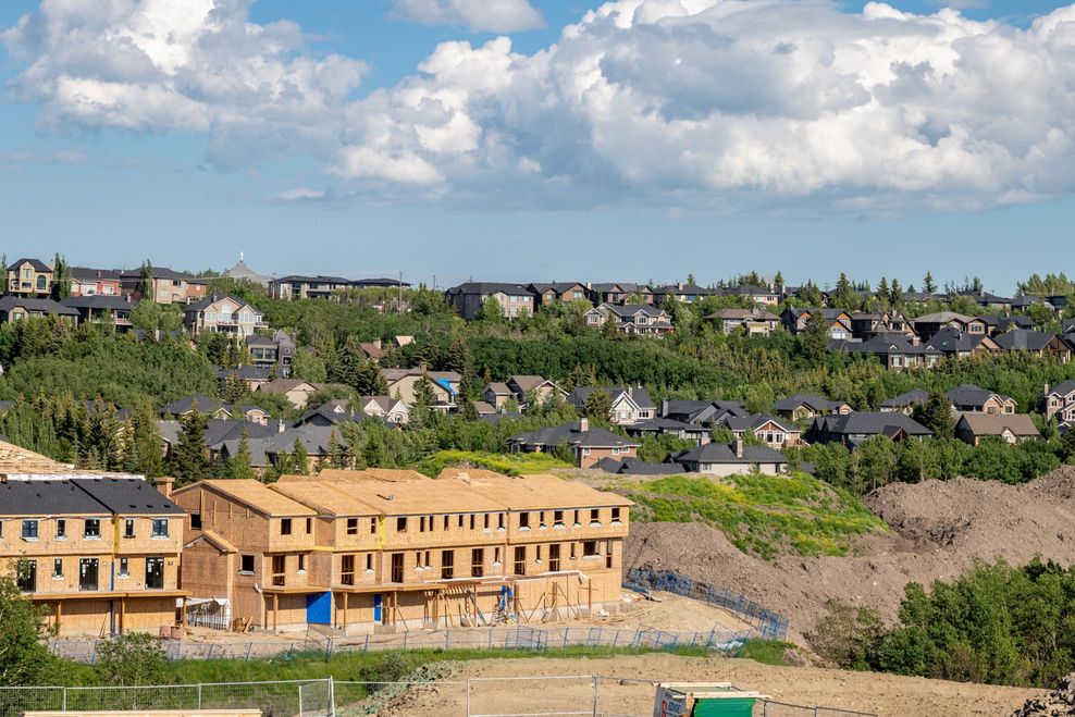 Jeff Whyte/Shutterstock