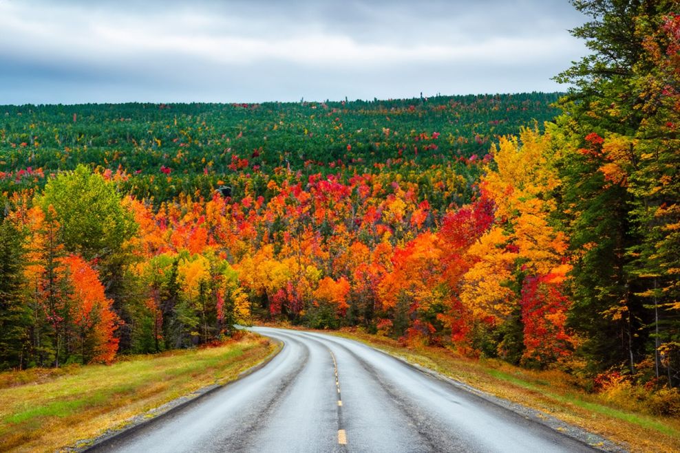 Osama AbulZahab/Shutterstock