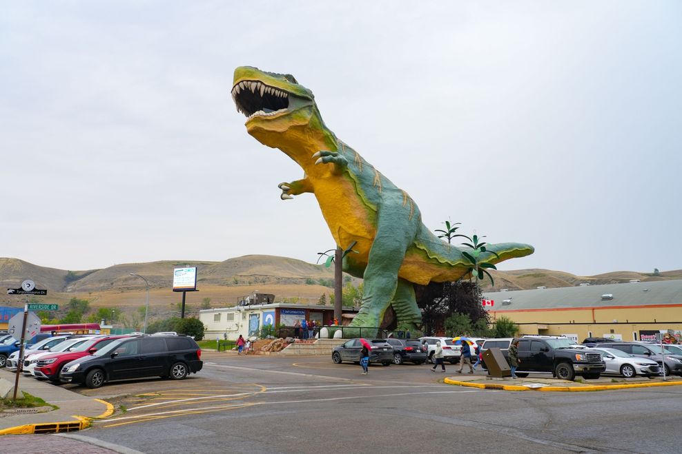 Alexandre.ROSA/Shutterstock