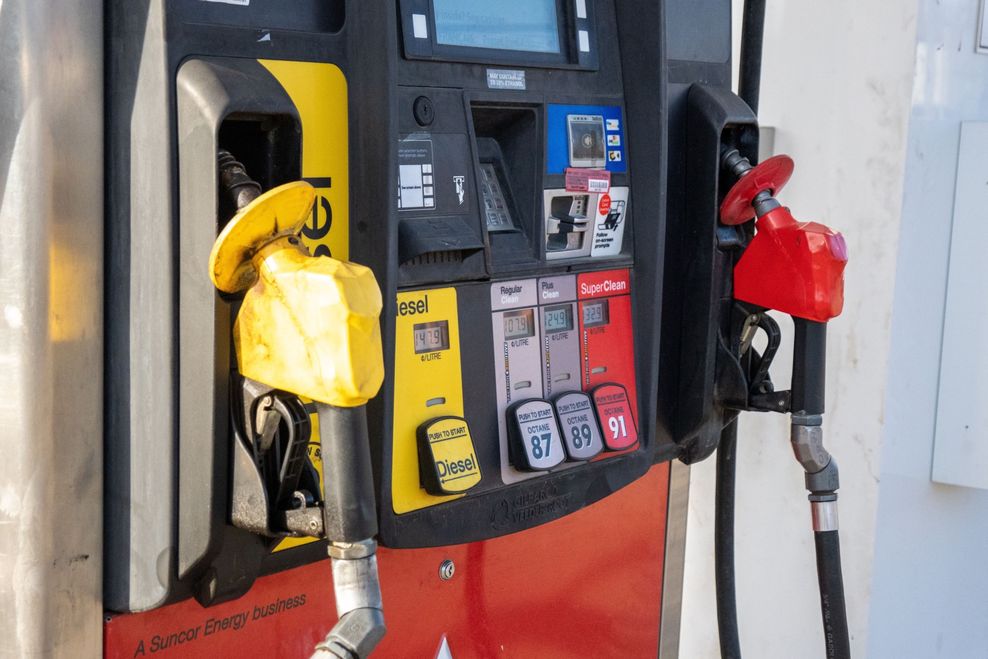 vietanh85/Shutterstock