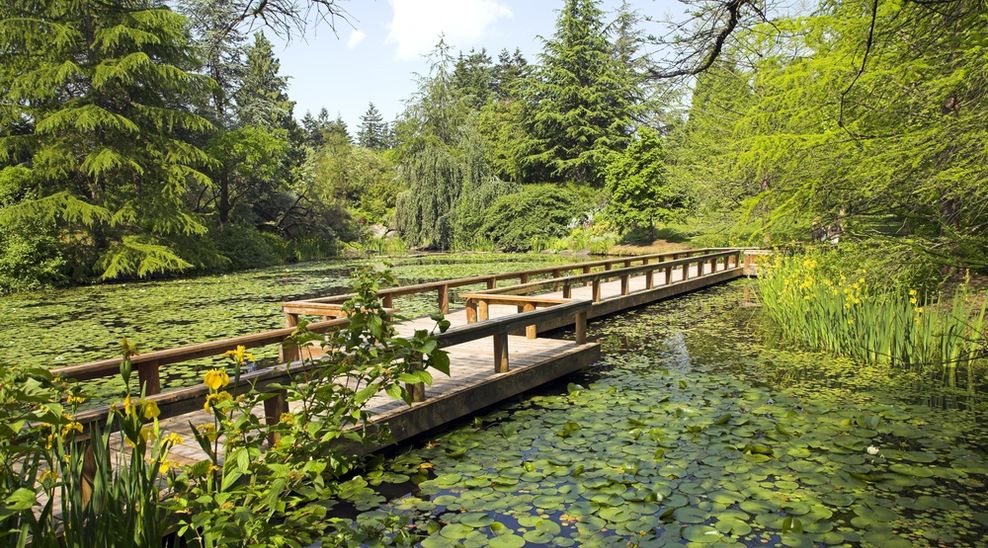 path in botanical garden in vancouver vandusen garden