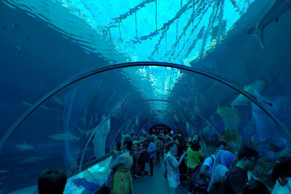 Singapore Oceanarium