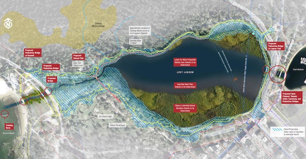 stanley park lost lagoon tidal reconnection concept