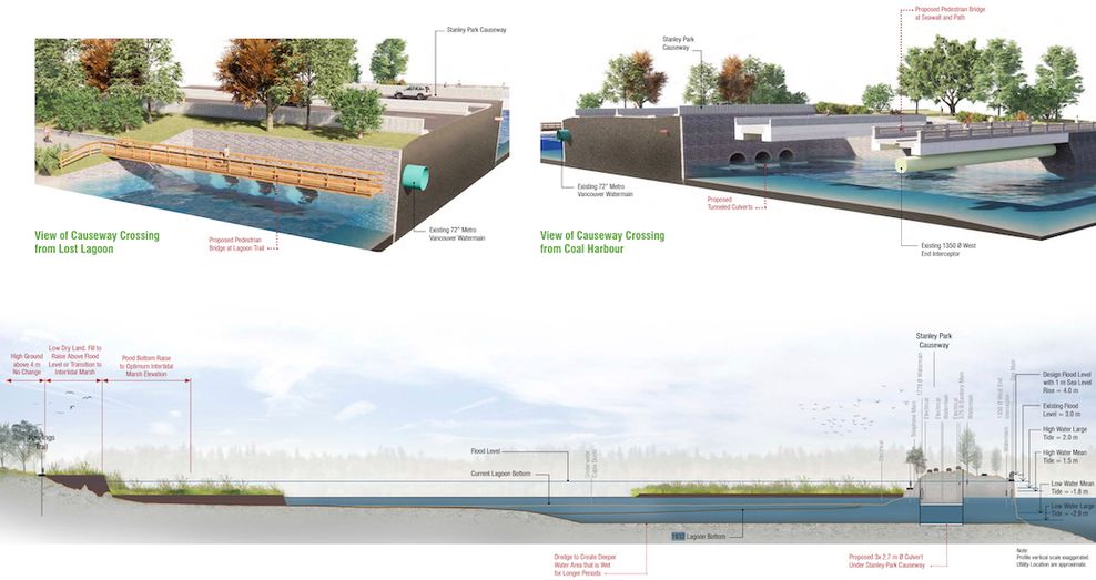 stanley park lost lagoon tidal reconnection concept