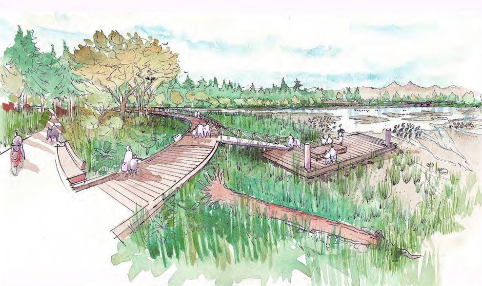 stanley park lost lagoon tidal reconnection concept