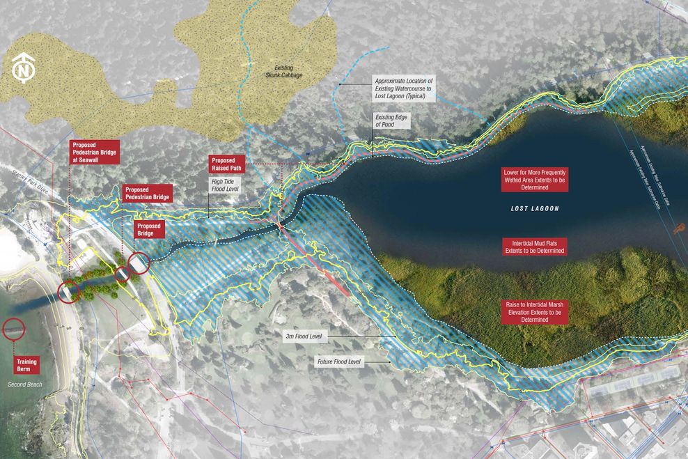 Tidal reconnection concept for Lost Lagoon in Stanley Park. (Kerr Wood Leidal/Vancouver Park Board)