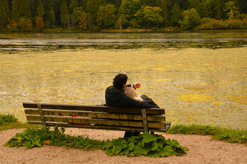 tom hollett/Shutterstock